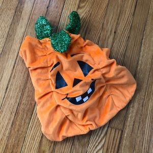 Small pet pumpkin / Halloween costume